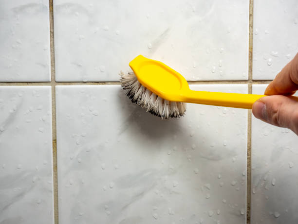 Best Commercial Mold Remediation in Janesville, CA