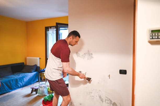 Best Crawl Space Mold Remediation in Janesville, CA